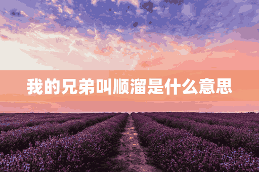 我的兄弟叫顺溜是什么意思